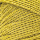 Caron Simply Me Yarn Merino - Autumn Gold