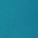 Liquitex Basics Acrylic Paint 118ml - Turquoise Blue