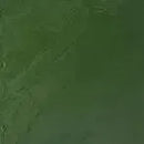 Winsor & Newton Artists' Oil Colour 37ml - S4 - Oxide Of Chromium*