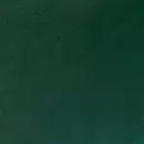 Winsor & Newton Artists' Oil Colour 37ml - S1 - Chrome Green Deep Hue