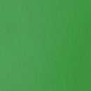 Liquitex Basics Acrylic Paint 118ml - Light Green