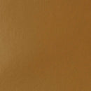 Liquitex Basics Acrylic Paint 118ml - Raw Sienna