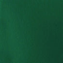 Liquitex Basics Acrylic Paint 118ml - Green Deep