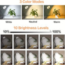 Universal Crafts LED Magnifying Lamp - White