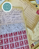 Craft Consortium – The Collector Clear Stamp Set