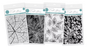 Craft Consortium Photopolymer Stamp Set - Pine Needles