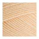 Stylecraft Special DK Premium Acrylic Yarn 100g - Toy