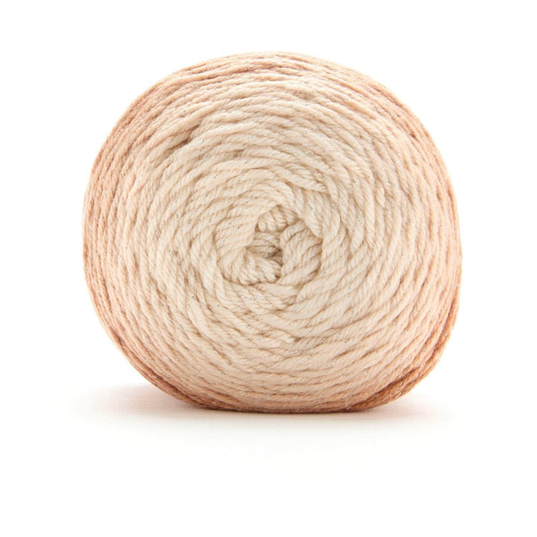 Premier Everyday Worsted Gradient Glitter Yarn - Fawn Tones