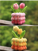 Poppy Crafts Learn to Crochet Kit