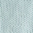 Caron One Pound Yarn - Pale Green