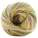 Premier Home Cotton Yarn - Lemon Lime Multi*
