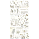 A sheet of vintage-style botanical and nature illustrations with owl, dragonfly, butterfly, fern, eggs, leaves, and handwritten text, shown on a white background. Brand text at the bottom includes The Quilt Collector and Market.