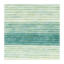Lion Brand Landscapes Renewed Yarn - Sweet Mint