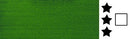 Amsterdam Acrylic Ink 30ml - Permanent Green Light - 618*