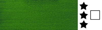 Amsterdam Acrylic Ink 30ml - Permanent Green Light - 618*