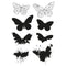 Sizzix Framelits Die & A5 Stamp Set By 49 & Market - Painted Pencil Butterflies