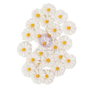 Prima Marketing Among the Wildflowers Collection Flowers β White Meadow β 24pc Floral Embellishment Pack