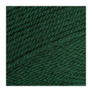 Stylecraft Special DK Premium Acrylic Yarn 100g - Bottle