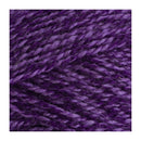 Stylecraft Special DK Premium Acrylic Yarn 100g - Viola Mix
