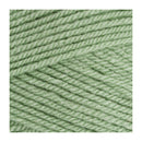 Stylecraft Special DK Premium Acrylic Yarn 100g - Lincoln