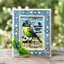 A handmade greeting card featuring a colorful bird illustration with vintage-style text and a decorative teal patterned border, displayed on a wooden surface with a blurred green garden background.