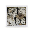 Aall & Create A6 Paper Pack