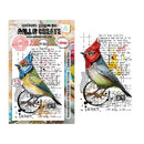 A bird-themed stamp design shown as both the front packaging and the resulting stamp artwork. The packaging features a colorful bird illustration over a vintage-style printed background with text and stamp details.