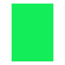 Poppy Crafts A4 Premium Fluorescent Cardstock 10 Pack - Green