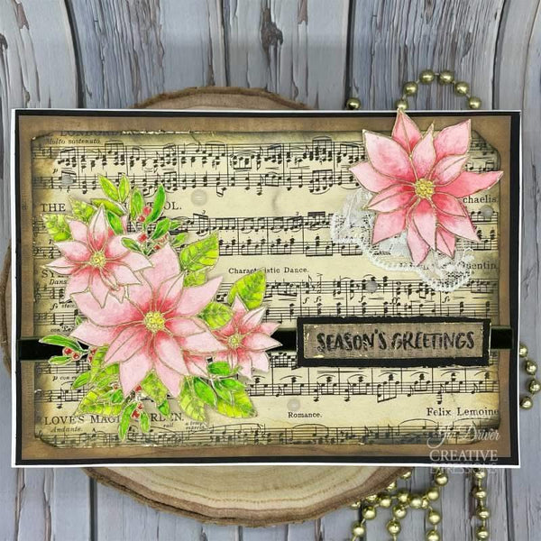 Creative Expressions Jane's Doodles Clear Stamp Set 6"x 8" - Poinsettia*