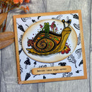Creative Expressions Clear Stamp Set 6"x 8" By Dora Shrive - Snailed It