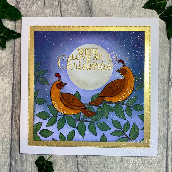 Creative Expressions Jane's Doodles Clear Stamp Set 4"x 6" - Partridge
