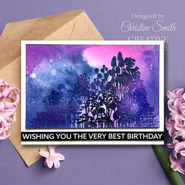 Creative Expressions 6"x 8" Clear Stamp Set by Jane Davenport - Wildink*