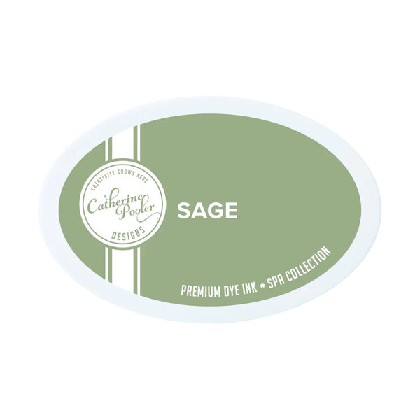 Catherine Pooler Ink Pad - Sage