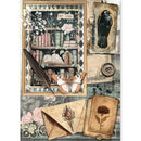 A vintage-style collage artwork featuring a framed bookshelf scene with books, flowers, a feather quill, a butterfly, a raven illustration, old letters, and botanical details on a distressed teal and beige background.