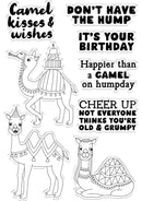 Cartoon camels with birthday-themed text on a white background