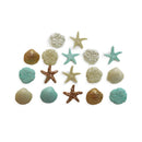 Dress It Up Embellishments - Tiny Seashells*