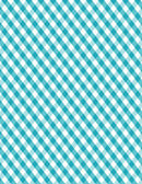 Picket Fence Studios Fabulously Glossy Card Stock - Sweet Gingham*