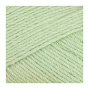 Fiddlesticks Posie Yarn 50g - Nil