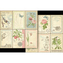 Graphic 45 Keepsake Edition Kit - Botanical Tea