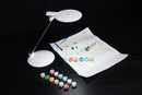 Daylight Halo Go 2 Magnifier Lamp