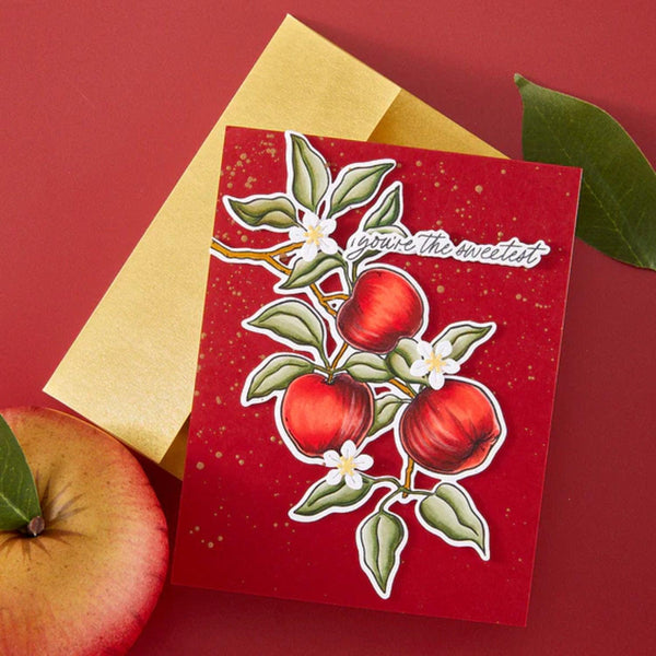 Hero Arts I Pick You Stamp & Cut Set - Apple Branch