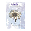 IndigeBlu 'Blooming Daisy' rubber stamp package featuring a large daisy illustration on a distressed light blue background with product text and branding.