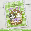 A handmade greeting card featuring two cartoon puppies in a basket with the text 'I'm sorry THINGS HAVE BEEN ruff'. The card has a green gingham background, scalloped white border, and is photographed on a white wood surface.