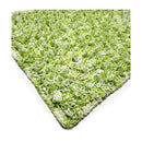 Lily Free Pattern - Sugar'n Cream Cones - Loop Stitch Lawn Rug