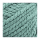 Lion Brand Wool-Ease Thick & Quick Yarn - Succulent