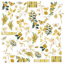 49 And Market Colour Swatch: Ochre Acetate Assortment 64/Pkg*