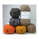 Fiddlesticks Peppin 8ply Fine Merino Wool 50g - Rock