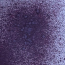 Pink Ink Designs Airless Chalk Mister 50ml - Mulberry Wine*