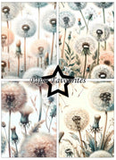 A collage of four botanical dandelion illustrations with a central black star containing the text 'Paper Favourites'. The artwork uses soft pastel tones including beige, cream, muted blue-gray, and blush pink, with some panels showing blurred or muted dandelion heads.