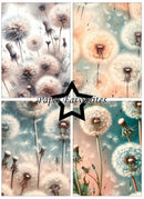 A four-panel collage of dandelion artwork in soft pastel tones, with a black star in the center containing the text 'Paper Favourites'. The designs show dandelions in cream, beige, peach, and pale aqua with some darker brown seed heads.